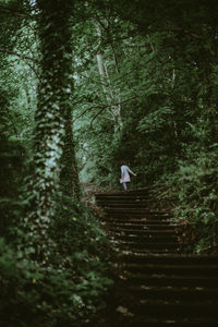 Rear view of person on staircase in forest