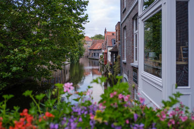 Canal amidst buildings and trees against sky