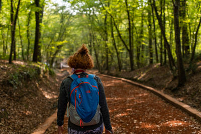 Rear view of woman walking amidst trees in forest