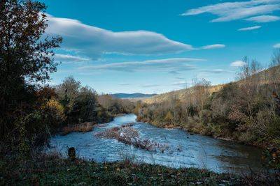 Scenic view of river amidst trees against sky