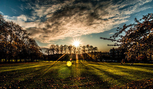 Sunlight streaming through trees on field against sky at sunset