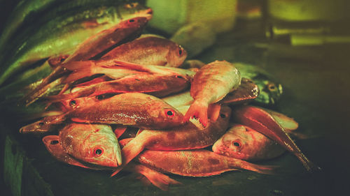 Close-up of fish on market