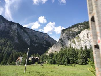 Panoramic view of trees on field against sky