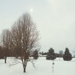 winter