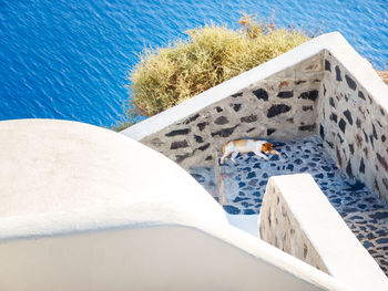 High angle view of swimming pool at beach