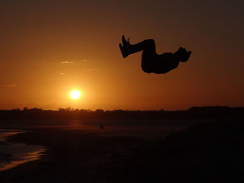 Silhouette of trees at sunset
