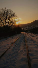 Bare trees against sky during sunset