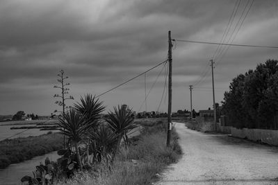 Road amidst plants and trees against sky