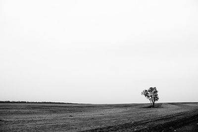 Scenic view of field against clear sky