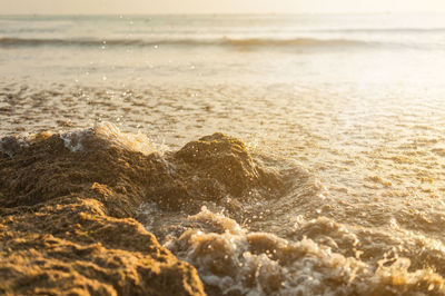 Scenic view of beach