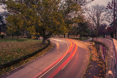 Empty road amidst trees