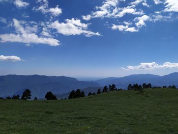 Scenic view of field against sky