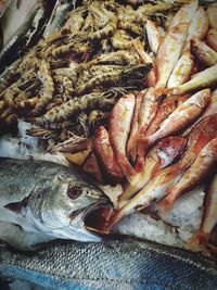 Close-up of fish for sale in market