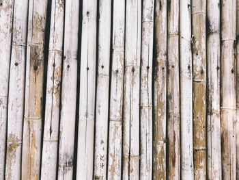 Full frame shot of bamboo fence