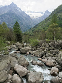 Scenic view of mountains