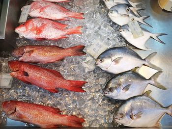 High angle view of fish for sale in market