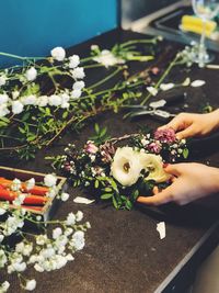 High angle view of person holding flowers on plant