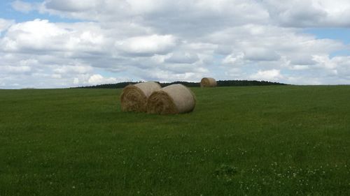 Hay bales on grassy field against cloudy sky