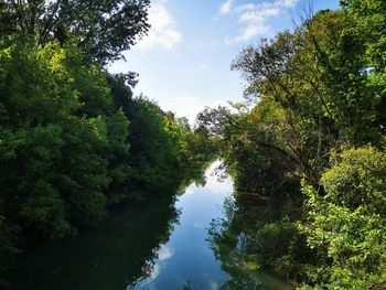 Reflection of trees in river against sky