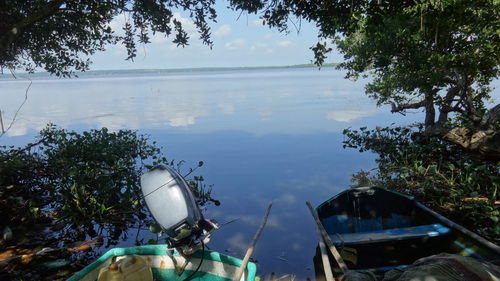 High angle view of lake by trees