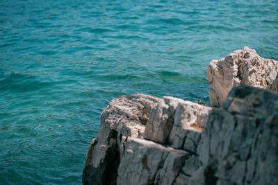 High angle view of rocks on sea shore