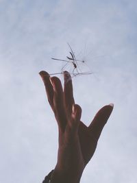 Cropped image of hand against sky