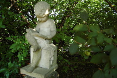 Low angle view of statue against trees