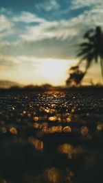 Close-up of silhouette land against sea during sunset