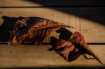 Close-up of food on table