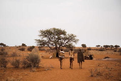 View of horse on desert land against sky