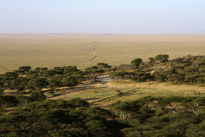 Scenic view of landscape against sky