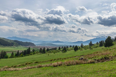 Scenic view of agricultural field against sky