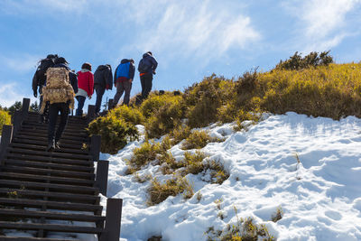 Rear view of people on snow covered plants against sky