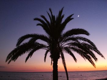 Silhouette palm tree by sea against sky at sunset