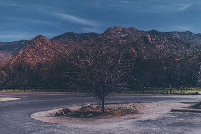 Trees by mountains against sky at night