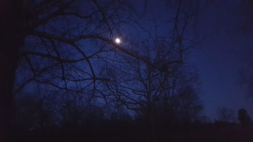 Low angle view of bare trees against sky at dusk