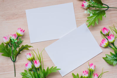 High angle view of pink flower on table