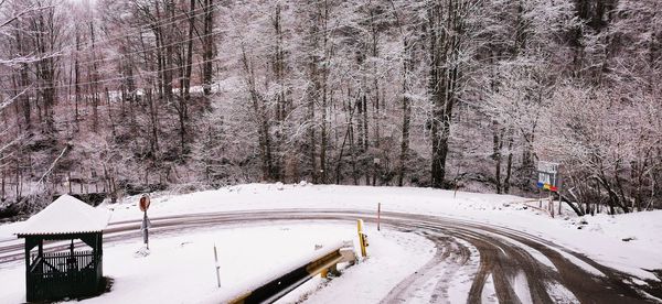 Snow covered road amidst trees during winter