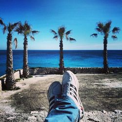 Palm trees on beach