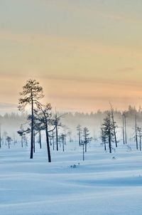 Scenic view of snow covered field against sky at sunset