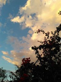 Low angle view of silhouette trees against sky during sunset