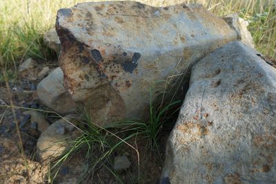 Close-up of rocks on grassy field