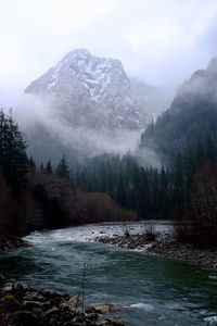 Scenic view of waterfall in forest during winter