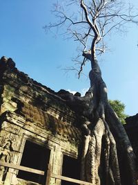 Low angle view of old building