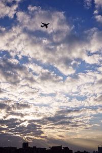 Low angle view of silhouette airplane flying in sky