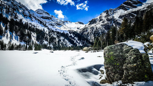 Trees on snow covered mountains against sky