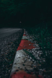 Surface level of road along plants