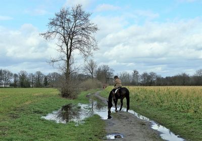 Man riding horse on field