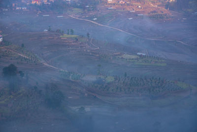 High angle view of agricultural field