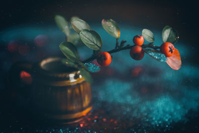 Close-up of rowanberry fruits on table